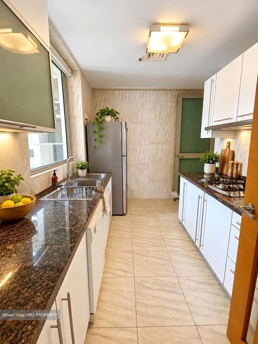 The Serenade @ Holland (D10), Condominium #627906271